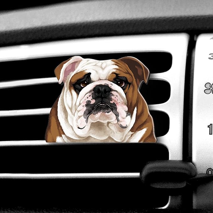 WIRESTER Fresh Scented Car Air Freshener Vent Clip, Decorative Accessories, Interior Decoration for Cars
