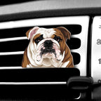 WIRESTER Fresh Scented Car Air Freshener Vent Clip, Decorative Accessories, Interior Decoration for Cars