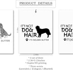 Mancheng-zi Funny Dog Car Air Freshener 3Pcs, Jack Russell Golden Retriever Beagle Lover Mom Gifts Air Freshener Hanging for Cars Closet Drawer or Books, Cute Car Accessories Mirror Decor for Women