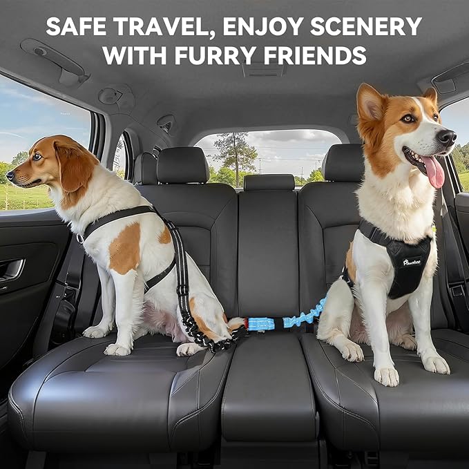 Pawaboo 2Pack 3-in-1 Dog Seatbelt for Car, Shockproof Bungee Dog Tether with 360° Lockable Buckle & Hook Latch, Adjustable Reflective Pet Safety Harness Leash for Vehicle, Black+Blue