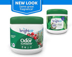 Bright Air 14 oz. Super Odor Eliminator, For Medium-Size Spaces, Winter Pine & Berries Scent, Case of 6, Odor Eliminator & Air Freshener, Natural Essential Oils, Lasts Up to 90 Days Each