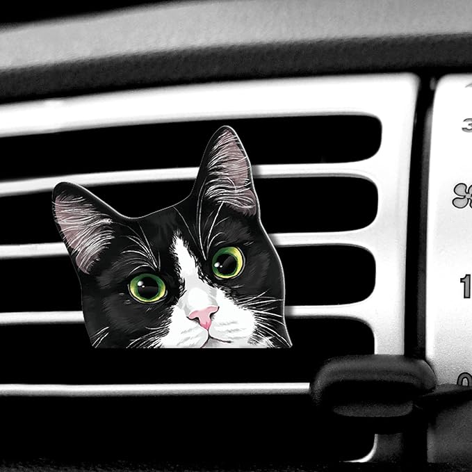 WIRESTER Fresh Scented Car Air Freshener Vent Clip, Decorative Accessories, Interior Decoration for Cars