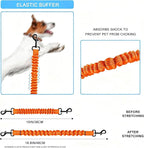 Dog Seat Belt for Bike Basket, Retractable Bicycle Dog Seatbelt, Elastic Pet Safety Leash Harness for Cat, Dog Leash Extension Attachment Shock Absorbing Lead Extension Absorber (Orange)