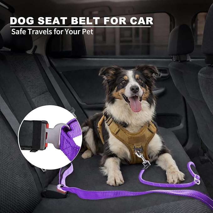6FT Heavy Duty Dog Leash for Small Medium Large Dogs, Tangle Free Reflective Dog Training Leash with Double Handle, Seat Belt Buckle & Poop Bag Holder (Purple)