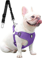 Dog Seat Belt for Car,Dog Car Safety Harness,2 in 1 Seatbelt Tether with Elastic Bungee,Travel Safety Harnesses for Small Medium Large Pets (Purple Medium)