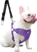 Dog Seat Belt for Car,Dog Car Safety Harness,2 in 1 Seatbelt Tether with Elastic Bungee,Travel Safety Harnesses for Small Medium Large Pets (Purple X-Large)