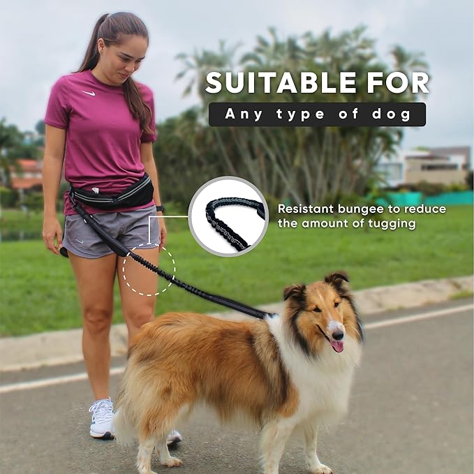 Bond Dog Running Leash Hands Free with Pouch, Hands Free Leash for Large Dogs, Pet Lead Running Belt for Walking & Canicross Belt, Includes Waist Jogging Fanny Pack & Pet Car Seat Belt Safety