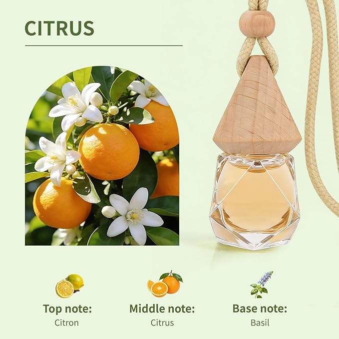 Car Air Freshener Diffuser 2 Pack Hanging Air Freshener Diffuser - Citrus Scent Car Fresheners 120 days Long Lasting Vent Clip 0.27 oz Each Automotive Air Fresheners Gifts for Women Birthday