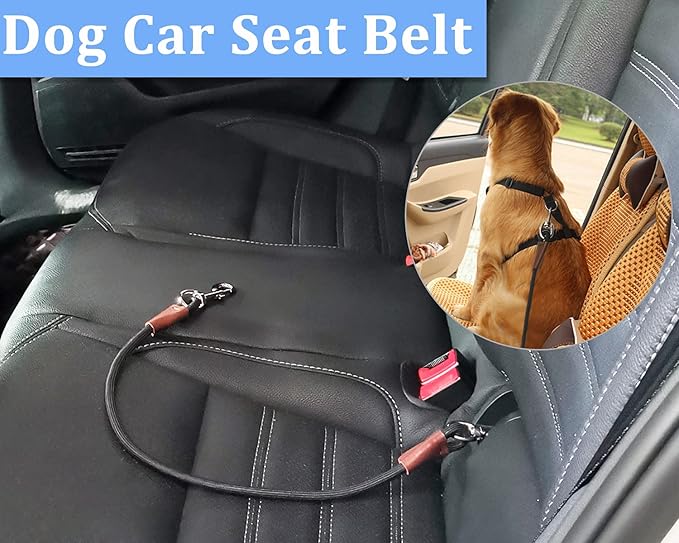 MayPaw Training Tie Down- Short Dog Tether Indoor- Strong Rope Dog Car Leash Seat Belt- 5 Sizes Vehicle Safety Restraint Lead for Small Medium Large Dogs (27.6 Inch)