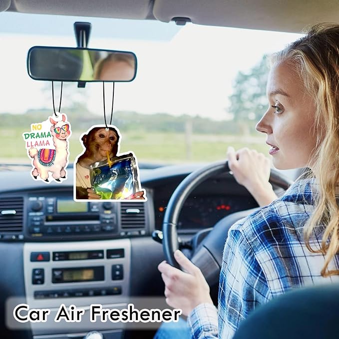 1PCS Car Air Fresheners,I'm gonna let it shine Hanging Car Air Fresheners,Cute Mirror Freshener Mirror Scented Hanging Automobile Accessories Decor Interior Home for Men Woman Friends