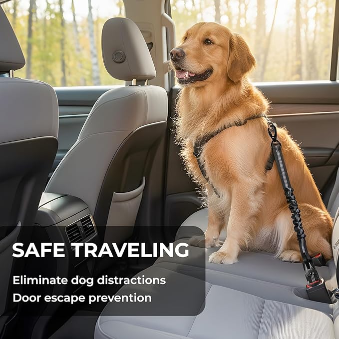 Dog Seat Belt for Car Seatbelt Clip or Hook Latch, Adjustable Reflective Bungee Dog Leash with Locking Zinc Alloy Carabiner, Elastic Buffer, Fits Most Cars/SUVs/Trucks (Black)