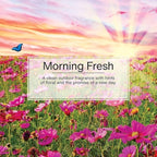 LITTLE TREES Car Air Freshener | Hanging Paper Tree for Home or Car | Morning Fresh