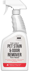 Natural Rapport Pet Stain and Odor Spray - The Only Pet Stain and Odor Remover You Need - Pet Stain Remover Carpet and Upholstery Cleaner Urine Odor Eliminator Spray for Pets (32 fl oz.)