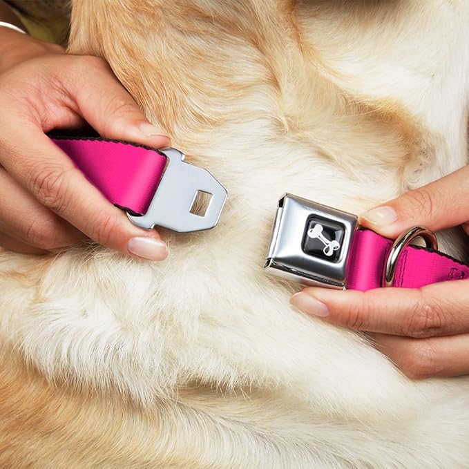 Buckle-Down Dog Collar Seatbelt Buckle Hot Pink 18 to 32 Inches 1.5 Inch Wide, Multicolor, DC-W30838-WL