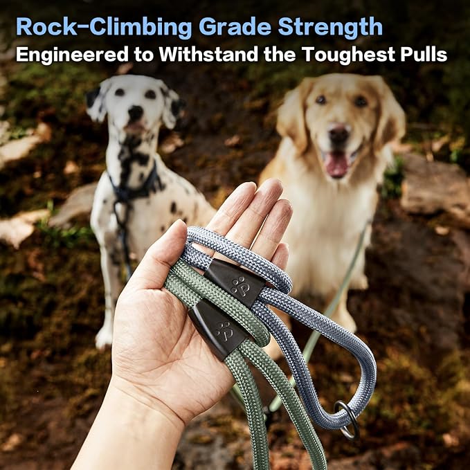 PawsPassion Rope Dog Leash 4 FT, 2-in-1 Heavy Duty Dog Leash with Seat Belt Buckle, Tangle Free 360ｰ Swivel Aviation Aluminum Carabiner, All Metal Hardware, Alloy O-Ring (Horizon)