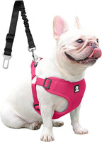 Dog Seat Belt for Car,Dog Car Safety Harness,2 in 1 Seatbelt Tether with Elastic Bungee,Travel Safety Harnesses for Small Medium Large Pets (Pink X-Large)