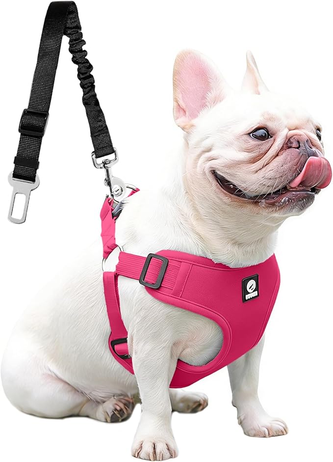 Dog Seat Belt for Car,Dog Car Safety Harness,2 in 1 Seatbelt Tether with Elastic Bungee,Travel Safety Harnesses for Small Medium Large Pets (Pink Small)