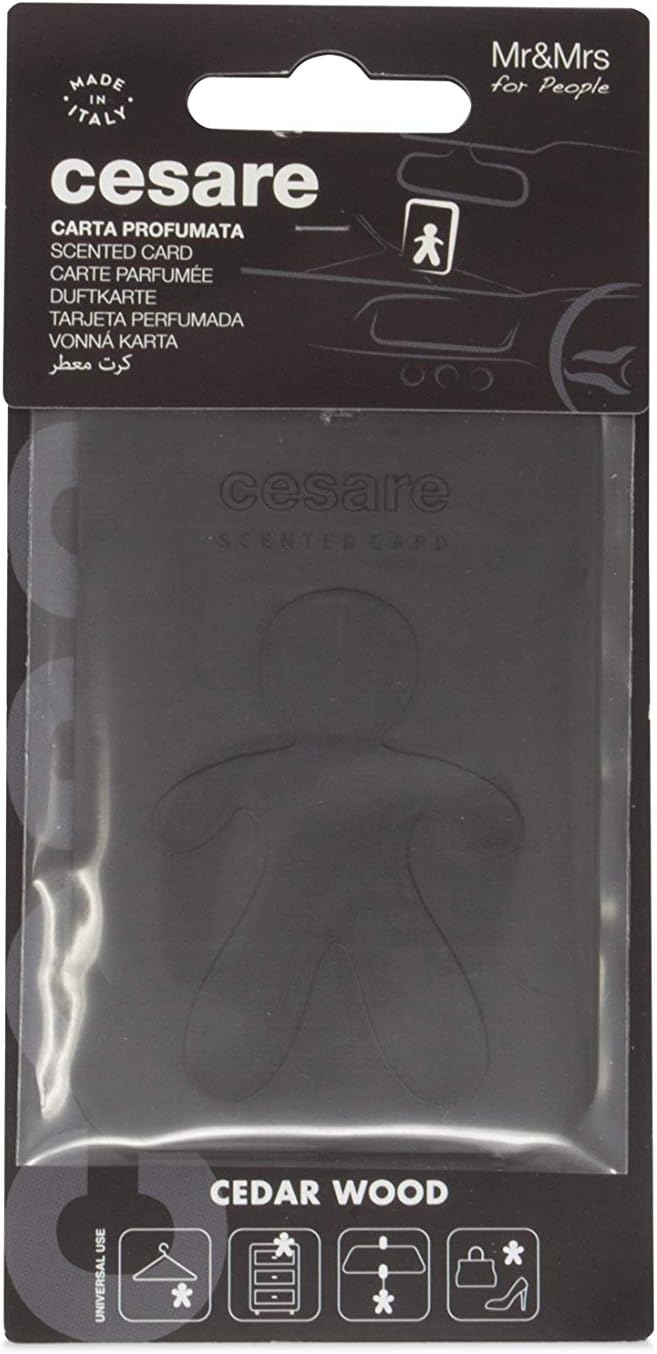 Cesare Scented Cards Car Air Freshener Long Lasting Uses Alcohol Free Fragrance Oil Non-Toxic EVA Material Pack of 6 Different Fragrances