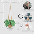 Handmade Crochet Car Air Freshener - Adorable Bendable Fern Plant with 8ml Empty Refillable Oil Diffuser Bottle, Suitable for Car Rearview Mirror Hanging, Home & Office Decor