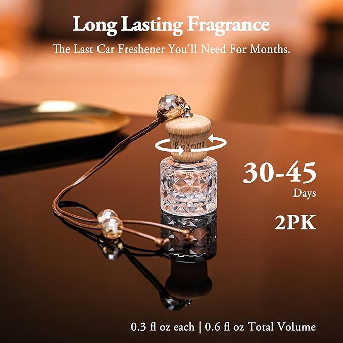 Hanging Car Air Fresheners, 2 Pack Long Lasting Automotive air fresheners up to 30-45 Days, Non Toxic Natural Fragrance Car Diffuser Freshener for Cars, Home,Office- Cool Ice