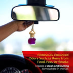 Kabod Blueberries Car Air Freshener | Hanging Essential Oil Diffuser | Natural Odor Eliminator | Long-Lasting Fragrance | 10 ml