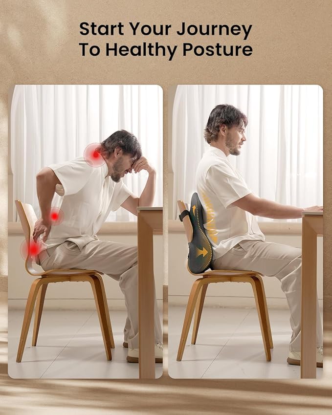 ProtoArc Lumbar Support Pillow for Office Chair, Memory Foam Back Support Pillow for Lower Back Fatigue Relief, Lumbar Pillow Desk Chair Back Cushion, Ergonomic Back Rest for Chair - Dark Gray
