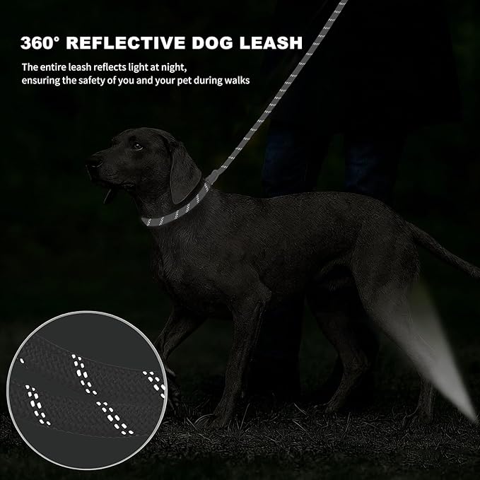 6FT Heavy Duty Dog Leash for Small Medium Large Dogs, Tangle Free Reflective Dog Training Leash with Double Handle, Seat Belt Buckle & Poop Bag Holder (Black)