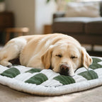 Dog Car Seat Cover for Back Seat, Plaid Backseat Pet Bed Mat, Non-Slip Travel Dog Bed for Backseat Extenders, 24.8" x 54", Green and White