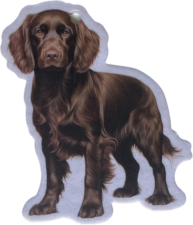 Boykin Air Freshener Car Scent By Scent South