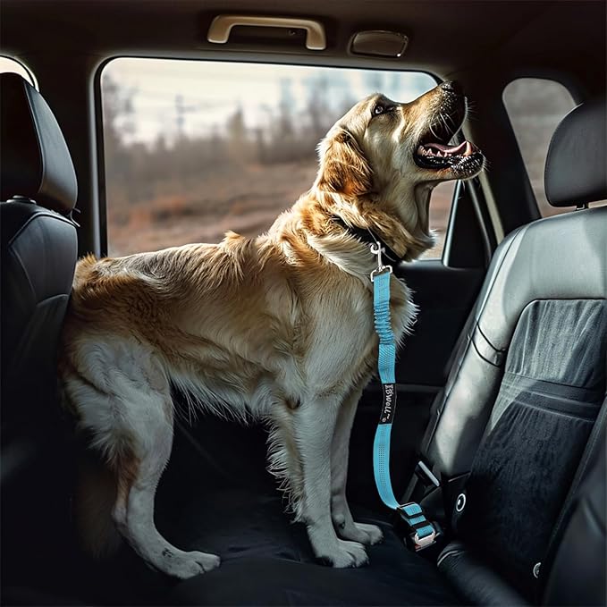 IBWell Dog Seat Belt with Elastic Bungee Leash, Car Seat Belt for Dogs (Orange, 1PCS-27.6")