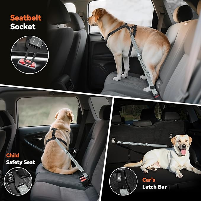 Dog Seat Belt, Dog Car Seat Belt Bungee, Car Harness for Pet with Buckle & Hook Latch, Safety Leash Vehicle, Adjustable Reflective Pet Vehicle Tether, 360° Swivel Lock Clasp, Gray