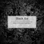 LITTLE TREES Car Air Freshener | Xtra Strength Provides Long-Lasting Scent for Auto or Home | Extra Boost of Fragrance | Black Ice, 24 Air Fresheners