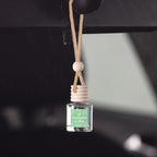 C&E Craft Co Hanging Car Air Freshener Diffuser 2 Pack, Long Lasting Fragrance Oil Car Freshener, Glass Bottle Auto Air Freshener, Made in USA (Eucalyptus & Mint)
