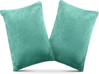2 Pack Small Pillow, Memory Foam Mini Pillow 11 X 7 Inches for Travel, Sleeping, Nap and Neck, Knee, Lumbar Support, Tiny Cushion for Pet, Dogs (Teal Green)