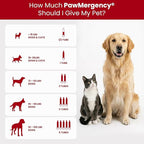 PawMergency – Activated Charcoal First Aid Kit Emergency Rescue 4 Pack for Dogs, Cats, Puppy & Pet Poison Kit, Camping Survival Remedy Essential, Oral Anti Diarrhea Digestive Absorb Toxins (4 pack)
