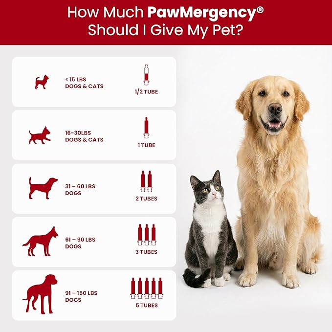 PawMergency – Activated Charcoal First Aid Kit Emergency Rescue 4 Pack for Dogs, Cats, Puppy & Pet Poison Kit, Camping Survival Remedy Essential, Oral Anti Diarrhea Digestive Absorb Toxins (4 pack)