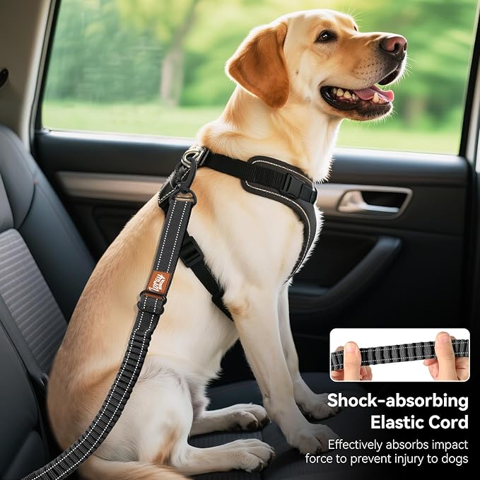 Dog Seat Belt, Dog Car Seat Belt Bungee, Car Harness for Pet with Buckle & Hook Latch, Safety Leash Vehicle, Adjustable Reflective Pet Vehicle Tether, 360° Swivel Lock Clasp, Black