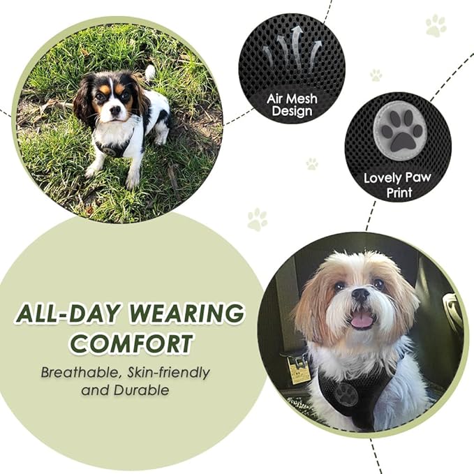 Lukovee Dog Seat Belt for Car, Adjustable Dog Car Harness for Large Medium Small Dogs, Soft Padded & Breathable Mesh Dog Seatbelt with Car Strap and Carabiner (Black,XXS)