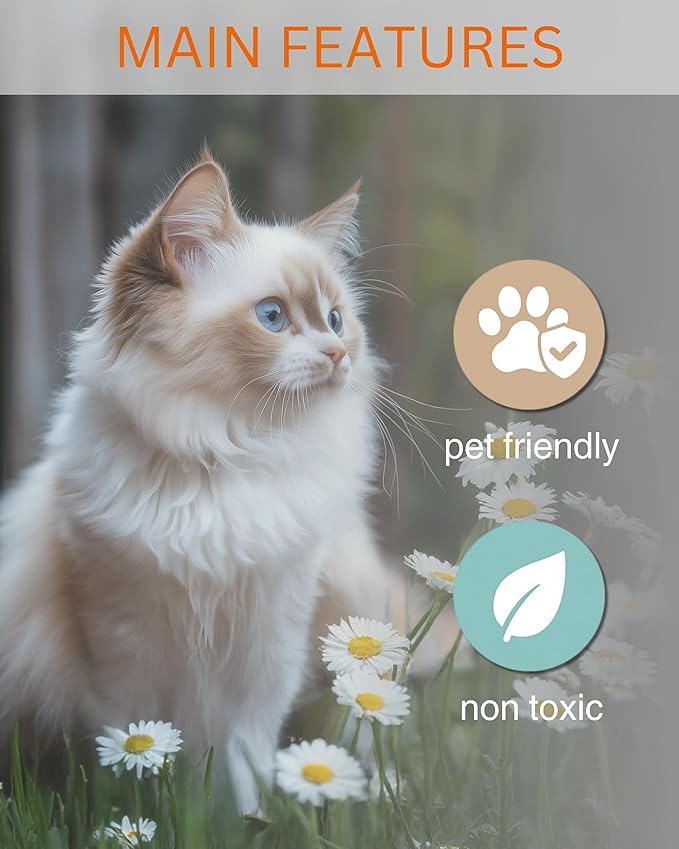 Ragdoll Kitten - Cat Car Air Freshener - Cute Hanging Daisy Cat Decor New Car Scent, Infusible with Your Own Scent, Pet Safe, Non-Toxic, Freshener for Car, Closet, Office Size - 3x4"