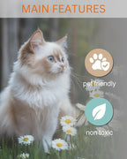 Ragdoll Kitten - Cat Car Air Freshener - Cute Hanging Daisy Cat Decor New Car Scent, Infusible with Your Own Scent, Pet Safe, Non-Toxic, Freshener for Car, Closet, Office Size - 3x4"