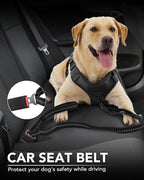Joytale Tactical Dog Leash Heavy Duty, 4-6FT Shock Absorbing Bungee Lead with 2 Padded Handle, Metal Carabiner Clip, Car Seatbelt, Strong No Pull Leash for Medium Large X-Large Dogs, Black