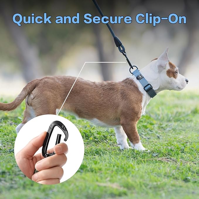 PawsPassion Rope Dog Leash 4 FT, 2-in-1 Heavy Duty Dog Leash with Seat Belt Buckle, Tangle Free 360ｰ Swivel Aviation Aluminum Carabiner, All Metal Hardware, Alloy O-Ring (Horizon)