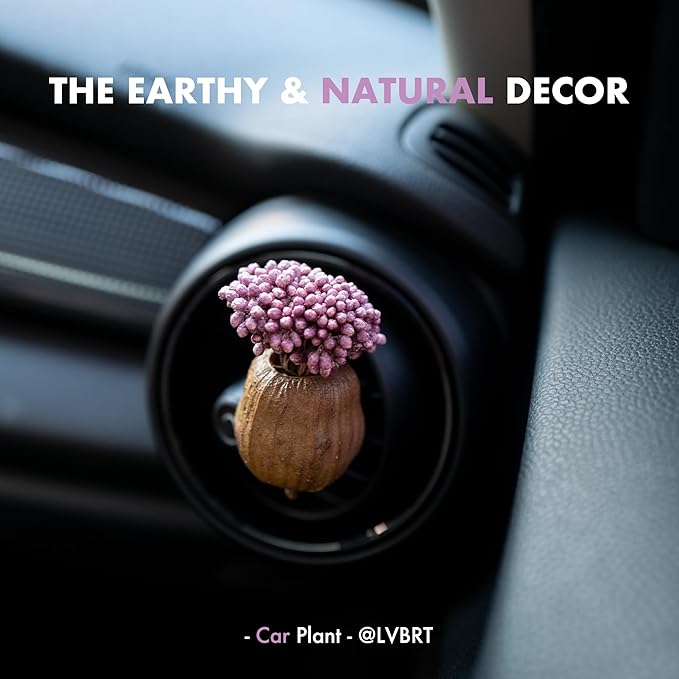 Mini Dried Flowers Car Vent Clips, Natural Car Air Freshener Non-Toxic, Cute Dashboard Decorations, Gifts for Plant Lovers (A+B, Unscented)