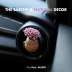 Mini Dried Flowers Car Vent Clips, Natural Car Air Freshener Non-Toxic, Cute Dashboard Decorations, Gifts for Plant Lovers (A+C, Unscented)