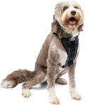 Kurgo Tru-Fit Smart Dog Walking Harness - Comfortable Fit - Adjustable Harness - Reflective Pet Wear - Quick Strap Release - Daily Walk Accessory - Includes Seat Belt Loop - Black - Large