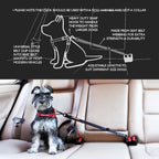 EzyDog Click – Dog Seat Belt for Car, Dog Harness Adjustable Seatbelt Attachment – Heavy Duty Nylon Seat Belt Webbing (17.5in - 26in)