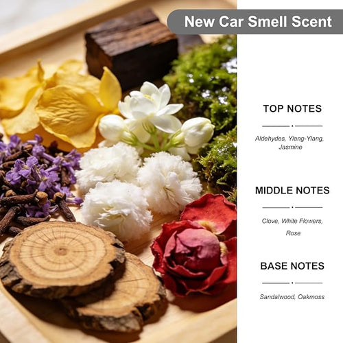 2-Pack Car Air Fresheners, Car Deodorizer, New Car Smell Air Freshener – Long Lasting Hanging Car Air Freshener for Men and Women, Car Scent Diffuser by VUTOLLOSA