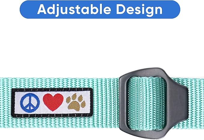Pawtitas Dog Seat Belt | Pet Safety Seat Belt with Adjustable Strap for Small to Large Dogs | Exceeds Dog Safety Standards | Keep Your Dog Secure in The Car - Teal Car Seat Belt for Dogs