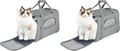 FluffyDream Pet Travel Carrier Soft Sided Portable Bag for Cats, Small Dogs, Kittens or Puppies, Collapsible, Durable, Airline Approved, Travel Friendly (Grey, 17.0" L x 10.0" W x 11.0" H) (Grey)