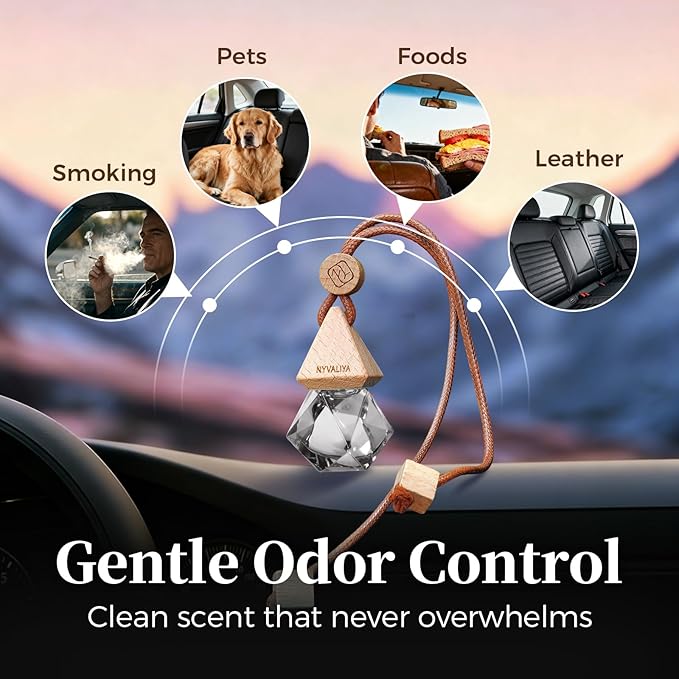 Car Air Freshener Hanging Diffuser with Natural Essential Oil, Ebony Agarwood Scent Car Fresheners, Long Lasting Car Smell Air Fresheners, Car Air Fresheners for Women & Men (Ebony Agarwood)
